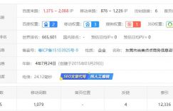 我看暴疯团队网赚博客的运营