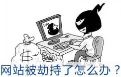 域名劫持网站权重快速排名