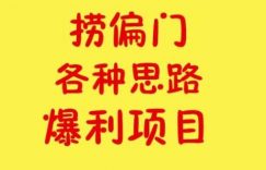 我所认为的捞偏门赚钱项目