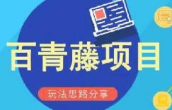 百青藤项目背后的陷阱