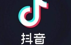 2020年的网上创业工作计划