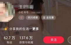 4步教你小红书运营技巧,新手也可以做的赚钱自媒体
