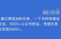 粉丝增长和增长粉丝赚钱