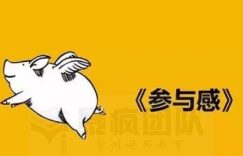 为什么我不建议网上建站一条龙的服务