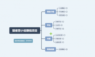 模板化小说赚钱项目