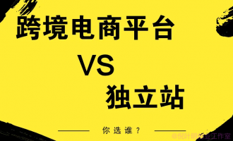 跨境独立站是跨境电商新的风口吗？