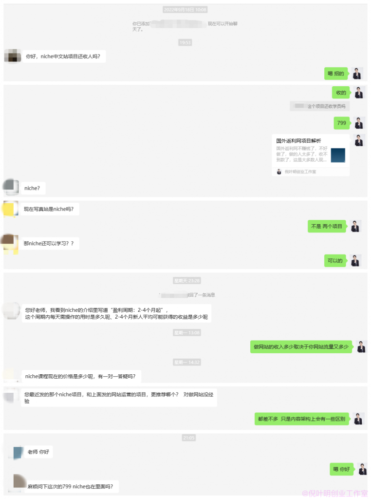 niche中文利基站解析
